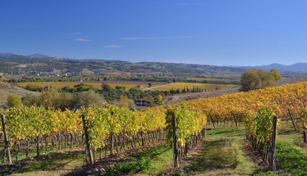 Toscana Italy Montalcino