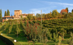 Villa Palagetto San Gimignano