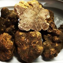 toscana-italy-truffle-sanminiato-pisa